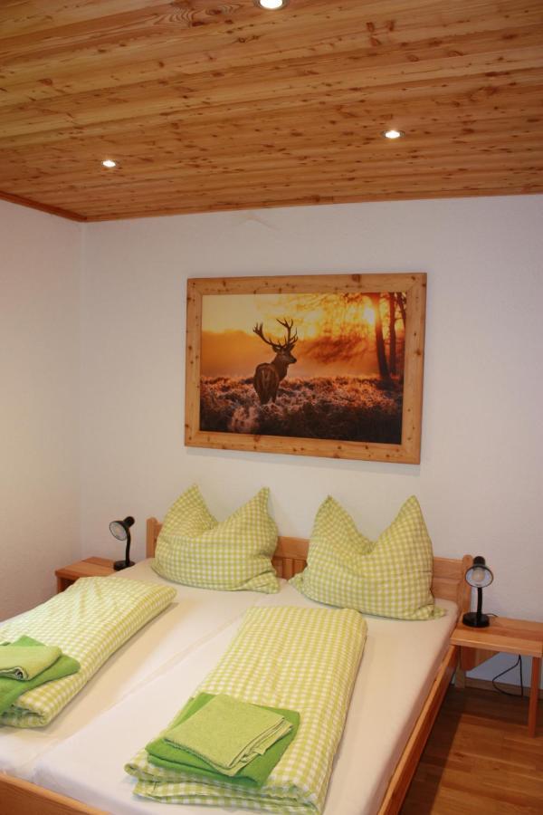 Chalet Ferienhaus Radmer Radmer an der Hasel Экстерьер фото