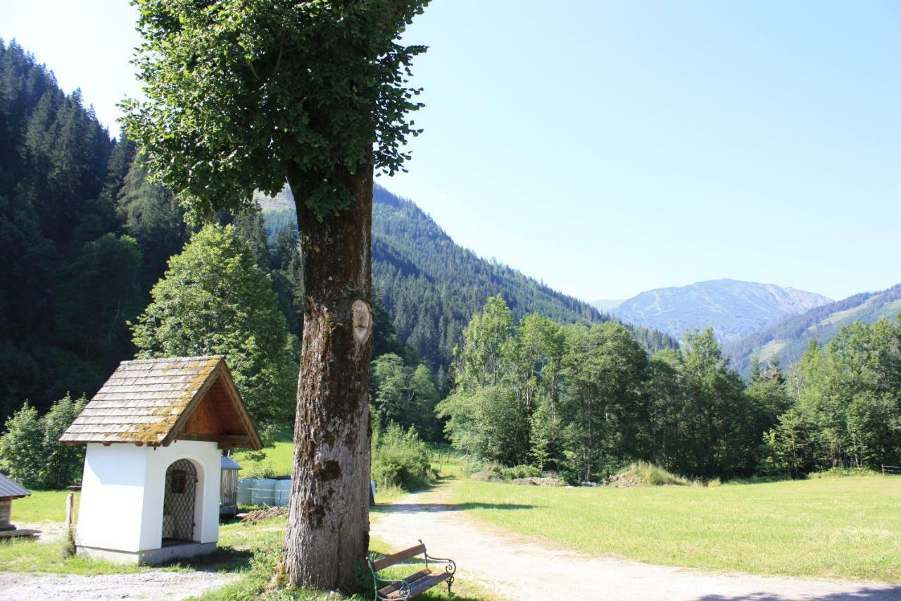 Chalet Ferienhaus Radmer Radmer an der Hasel Экстерьер фото